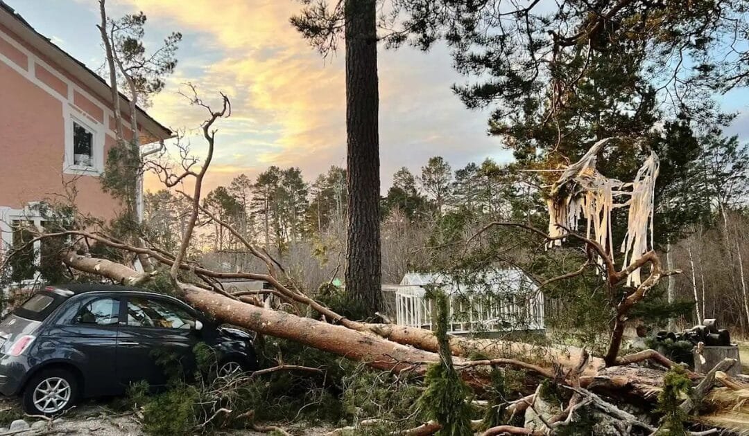 Nordic Nations Mobilize Response as Storm Johannes Claims Three Lives