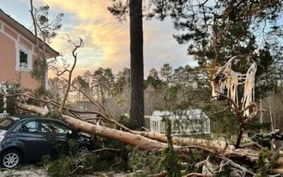 TODAYSTANCE Nordic Nations Mobilize Response as Storm Johannes Claims Three Lives