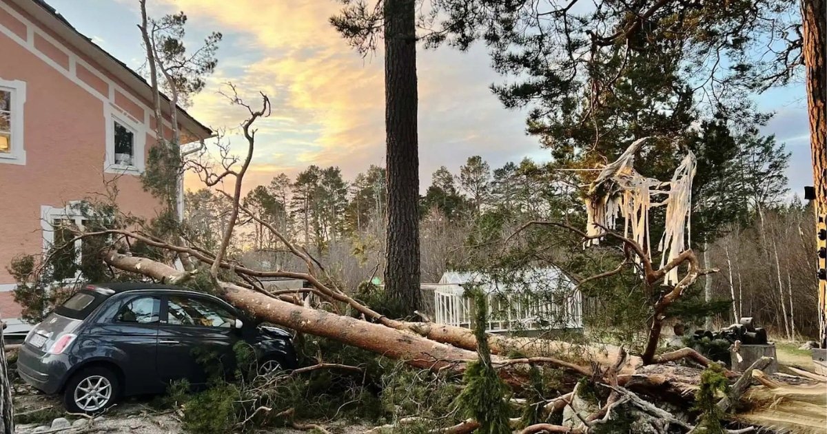 Nordic Nations Mobilize Response as Storm Johannes Claims Three Lives Nordic Nations Mobilize Response as Storm Johannes Claims Three Lives