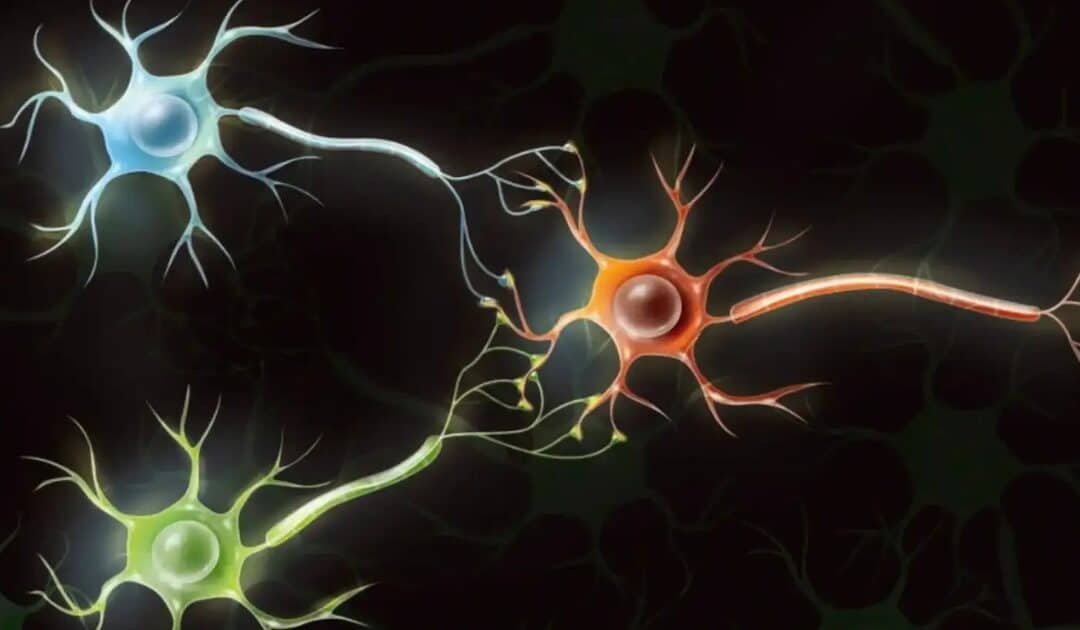 Scientists are Turning Human Brain Cells into Computational Hardware