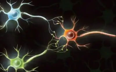 Scientists are Turning Human Brain Cells into Computational Hardware