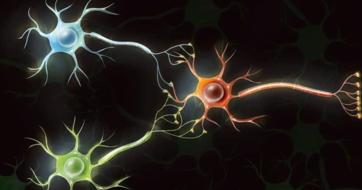 Scientists are Turning Human Brain Cells into Computational Hardware Scientists are Turning Human Brain Cells into Computational Hardware