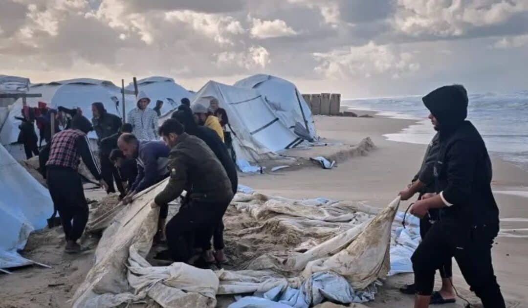 Winter Floods and Hypothermia Ravage Gaza Displacement Camps