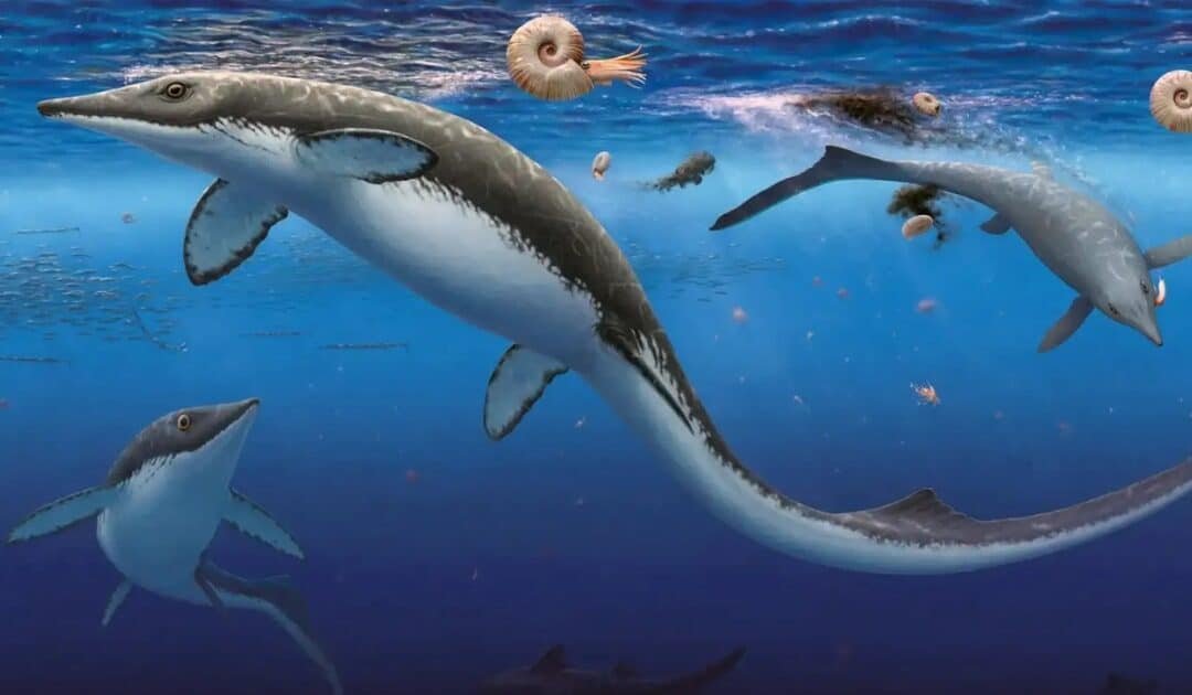 Discovery of 30,000 Fossils Reveals “Shockingly Fast” Post-Extinction Ocean Recovery