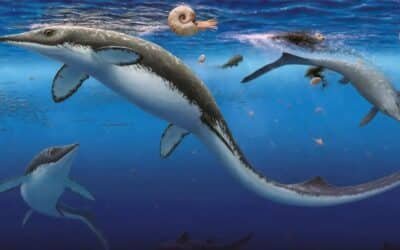 Discovery of 30,000 Fossils Reveals “Shockingly Fast” Post-Extinction Ocean Recovery