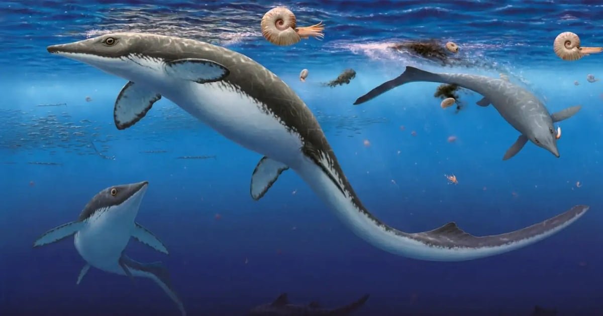 Discovery of 30,000 Fossils Reveals Shockingly Fast Post-Extinction Ocean Recovery Discovery of 30,000 Fossils Reveals Shockingly Fast Post-Extinction Ocean Recovery