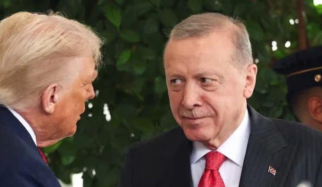 Erdogan and Trump Discuss Syria Reintegration and Gaza Peace Board