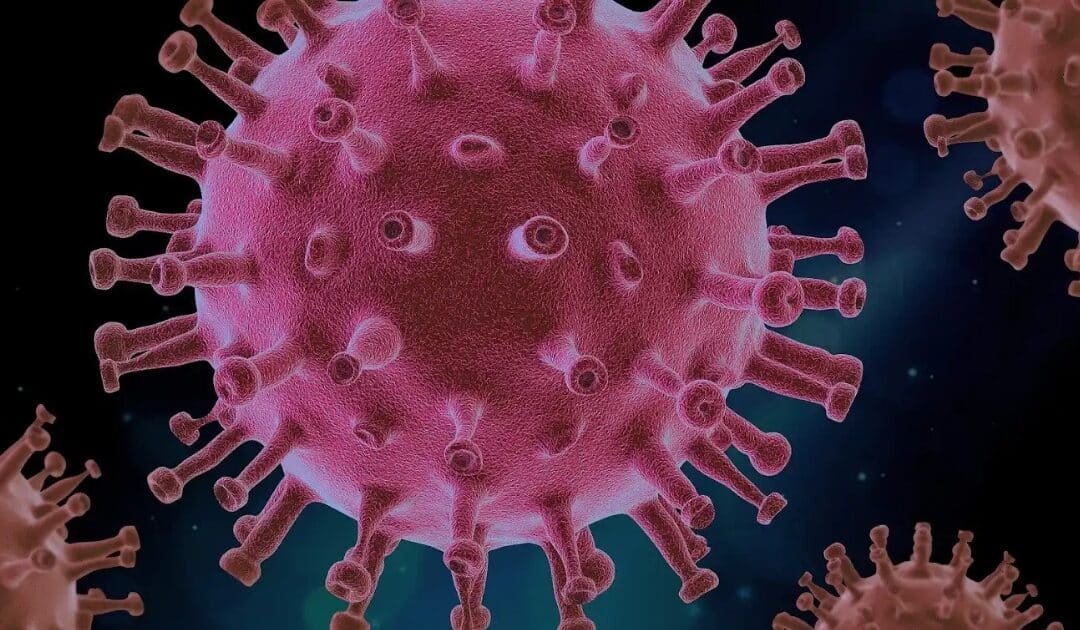Nipah Virus Panic: The Next Pandemic? Deadly Virus with a 75% Death Rate is Spreading Across India