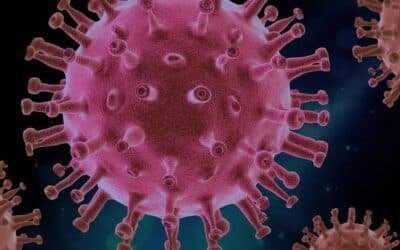 Nipah Virus Panic: The Next Pandemic? Deadly Virus with a 75% Death Rate is Spreading Across India
