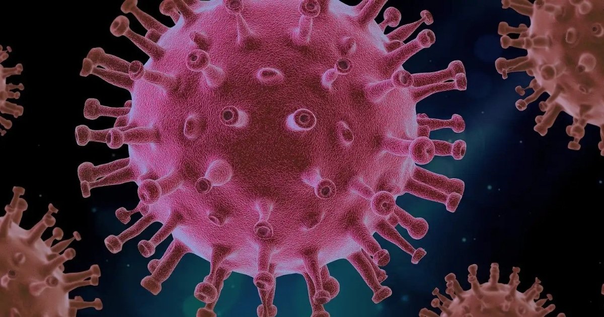 Nipah Virus Panic The Next Pandemic Deadly Virus with a 75% Death Rate is Spreading Across India Nipah Virus Panic The Next Pandemic Deadly Virus with a 75% Death Rate is Spreading Across India