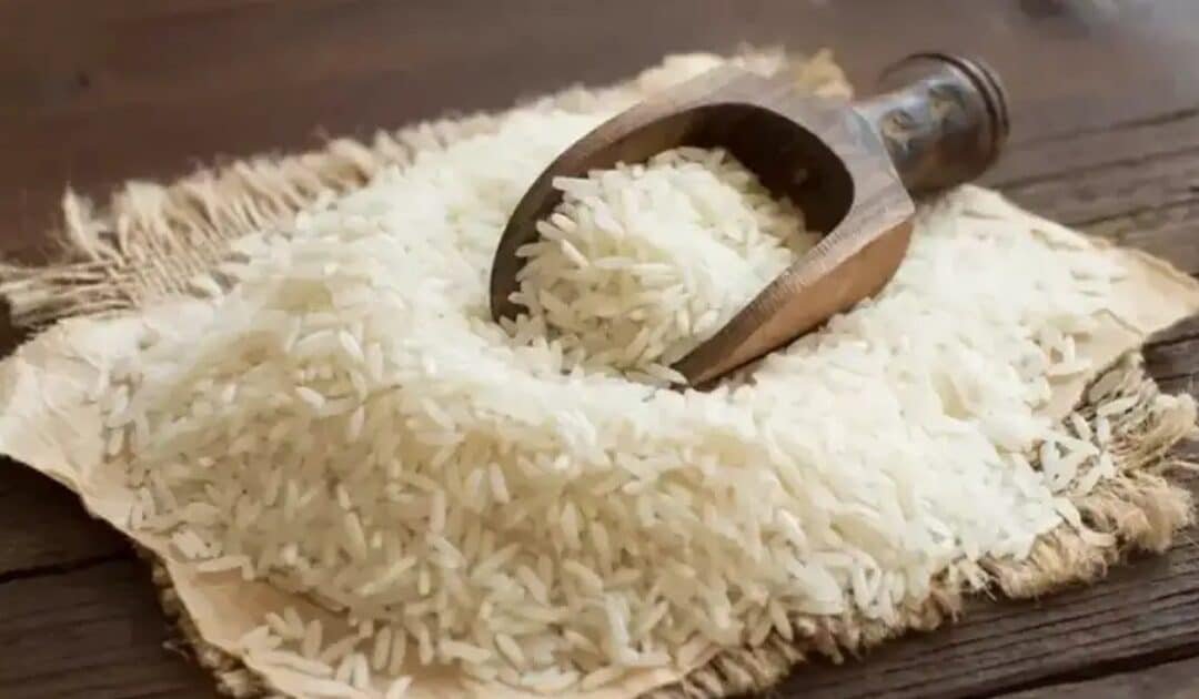 Pakistan Becomes World’s Third Largest Basmati Rice Exporter in December 2025