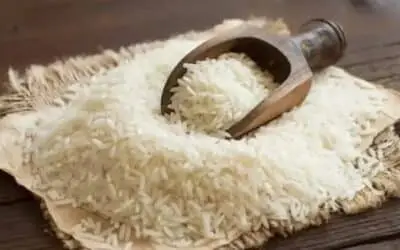 Pakistan Becomes World’s Third Largest Basmati Rice Exporter in December 2025