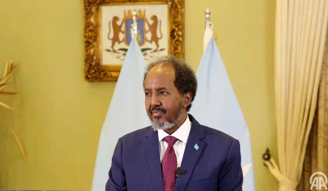 President Mohamud Denounces Israel’s Recognition of Somaliland, Warns of Plot to Displace Palestinians