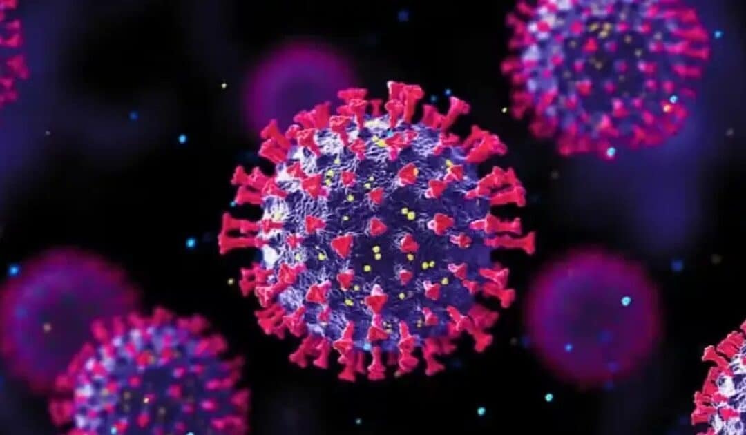 Surge in “Super Flu” Cases Across Pakistan Linked to Vaccine Shortage and Pollution