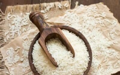 TODAYSTANCE Trade Crisis: Pakistan’s Rice Exports Plunge as Trade Deficit Hits $19 Billion