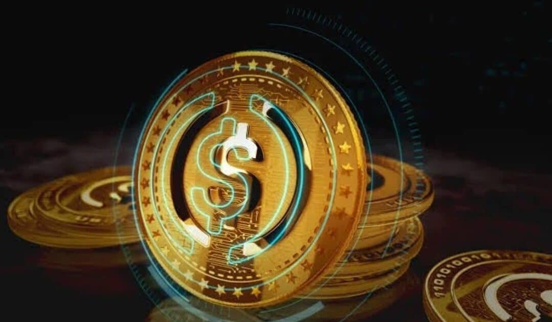Digital Finance & Stablecoins: Pakistan’s Entry into New Payment Systems