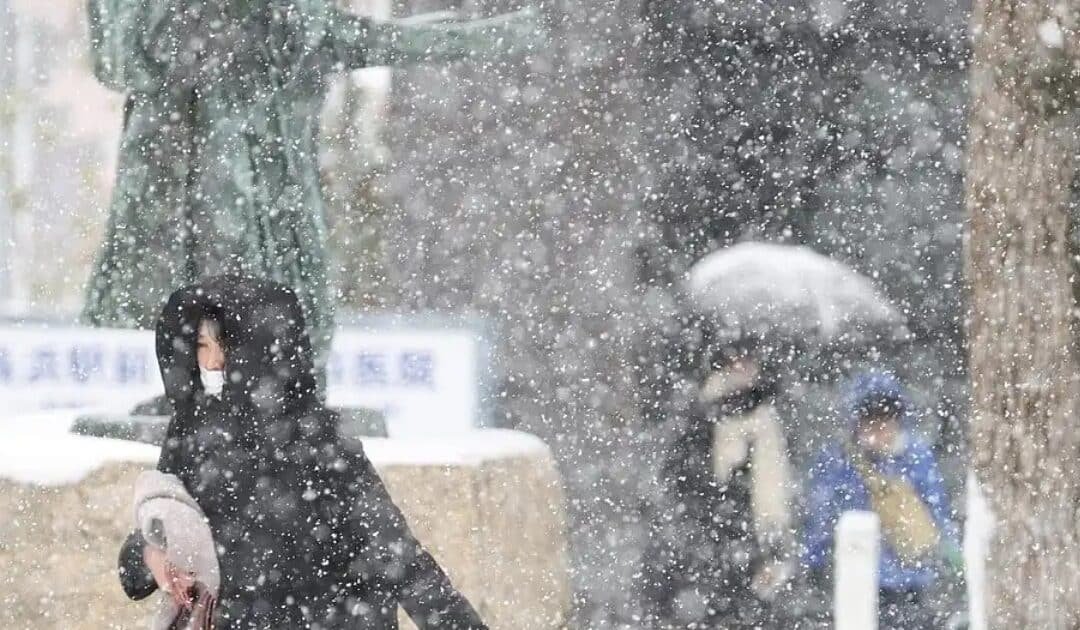 Japan Hit by Record Snow, At Least 30 Dead