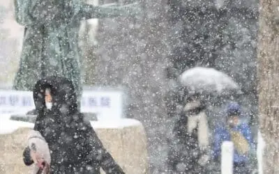Japan Hit by Record Snow, At Least 30 Dead