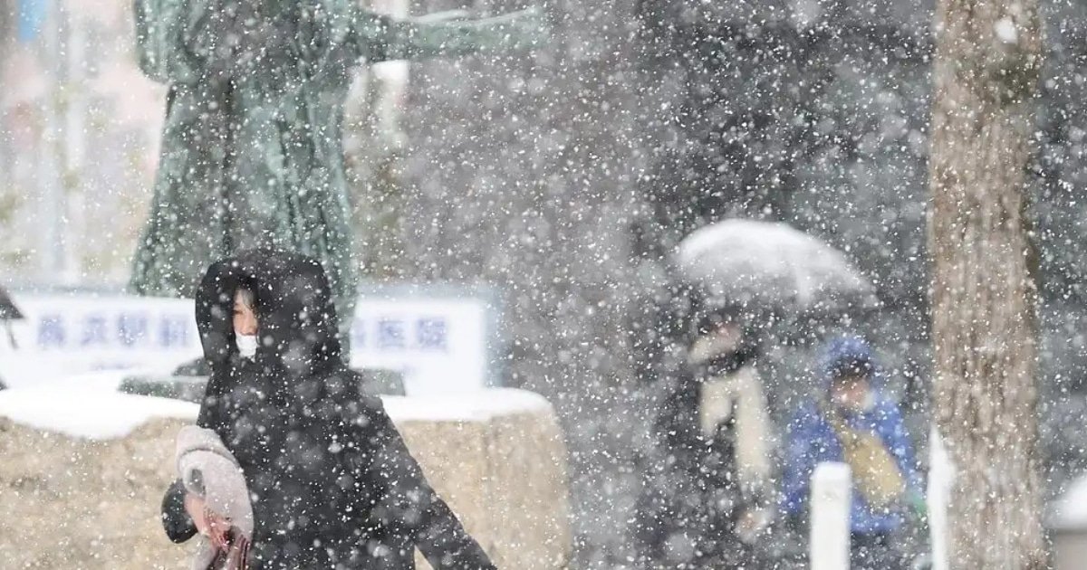 Japan Hit by Record Snow, At Least 30 Dead Japan Hit by Record Snow, At Least 30 Dead