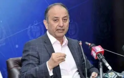 Minister Malik Warns of Massive GDP Loss and Student Displacement
