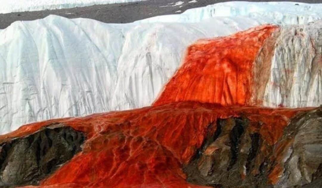 Nature’s Red Mystery: The Science Behind Antarctica’s Blood Falls