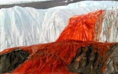 TODAYSTANCE Nature’s Red Mystery: The Science Behind Antarctica’s Blood Falls