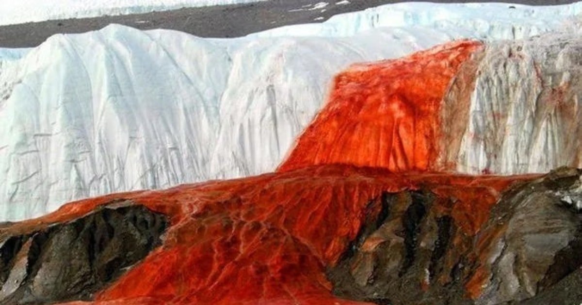 Nature’s Red Mystery The Science Behind Antarctica’s Blood Falls Nature’s Red Mystery The Science Behind Antarctica’s Blood Falls