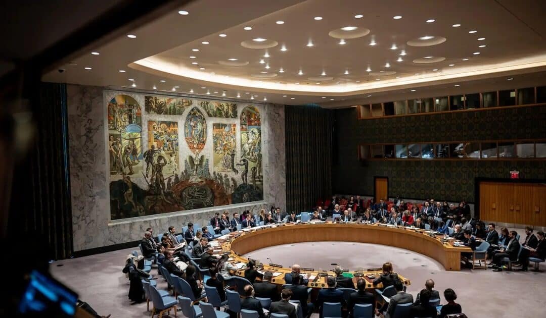 Pakistan Rejects Expansion of Permanent UNSC Seats