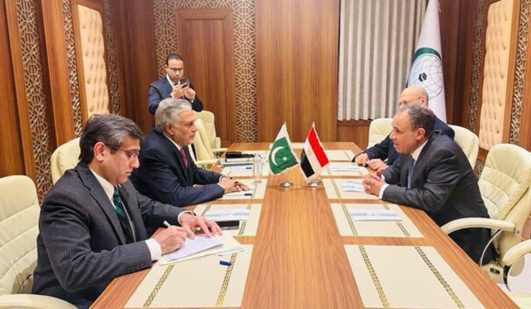 Pakistan and Egypt Strengthen Ties During UN Meeting on Palestine