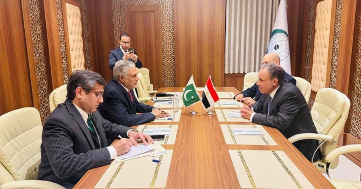 Pakistan and Egypt Strengthen Ties During UN Meeting on Palestine Pakistan and Egypt Strengthen Ties During UN Meeting on Palestine