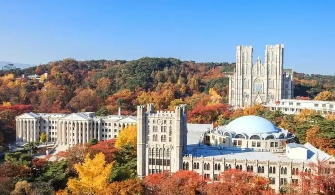 South Korea Launches Samsung Dream Scholarships for Pakistani Students