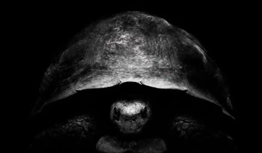 The Turtle vs. The Hare: Bezos and Musk Clash Over New Moon Plans