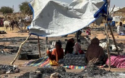 UN Fact-Finding Mission Uncovers Evidence of Genocide in El-Fasher, Sudan