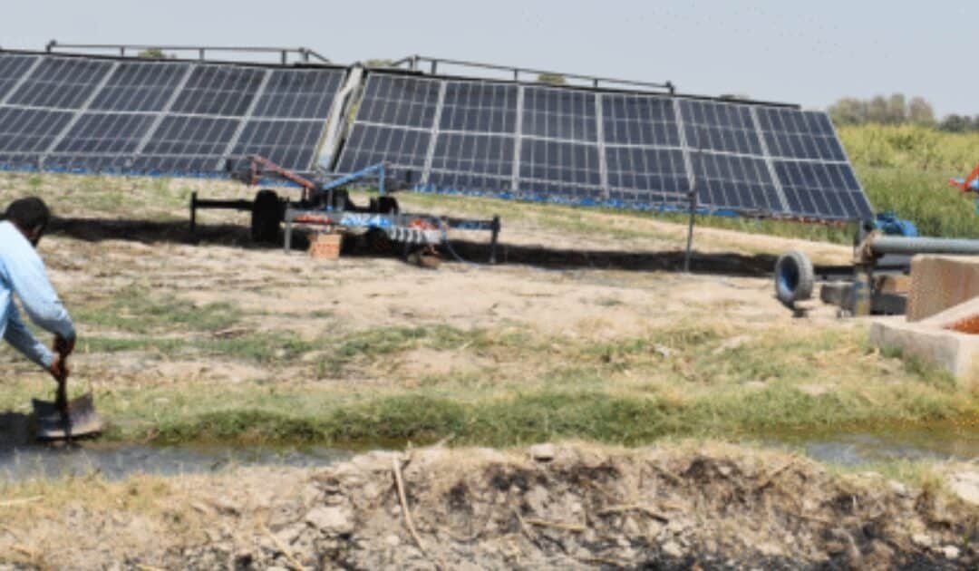 From Diesel to Solar: Pakistani Farmers Find Energy Security Under the Sun