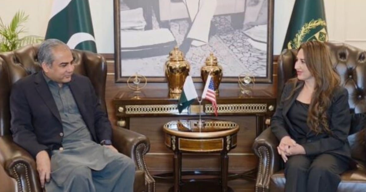 Interior Minister Meets US Diplomat to Finalize Security for US-Iran Talks Interior Minister Meets US Diplomat to Finalize Security for US-Iran Talks