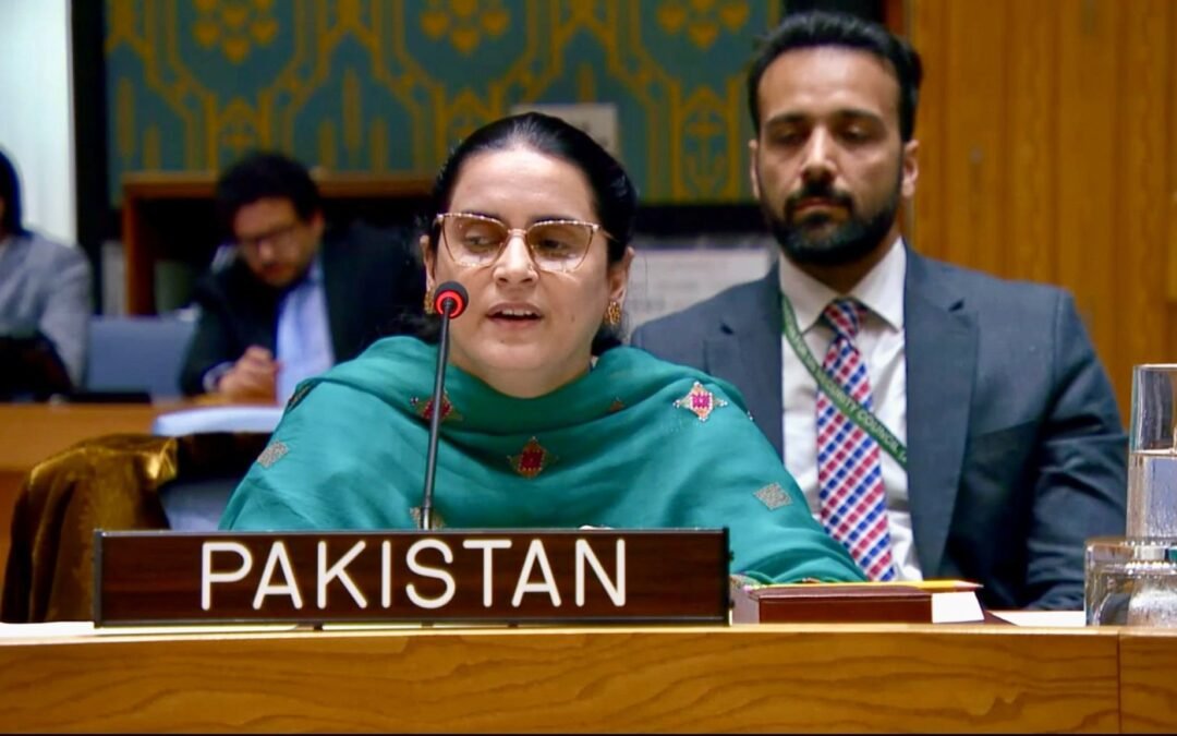 Pakistan Slams India at UNSC Debate on Civilian Protection