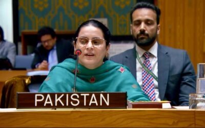 TODAYSTANCE Pakistan Slams India at UNSC Debate on Civilian Protection