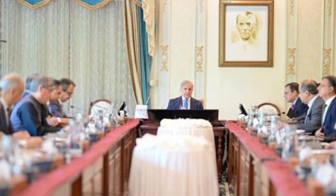 Prime Minister Shehbaz Sharif Directs Comprehensive Renewable Energy Strategy