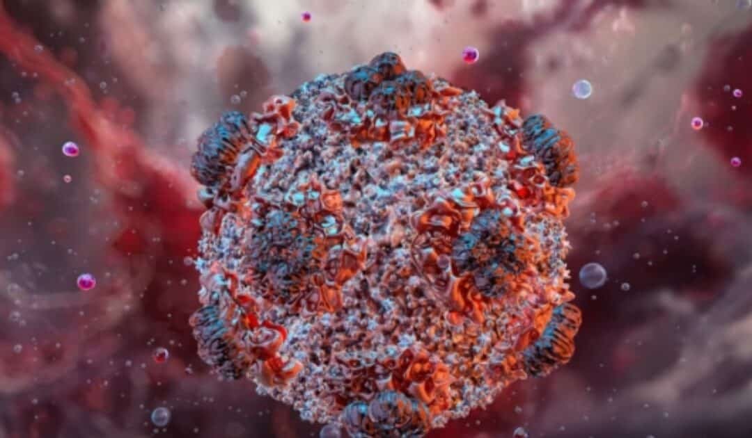WHO Chief to Assist in Hantavirus Evacuation Efforts in Tenerife