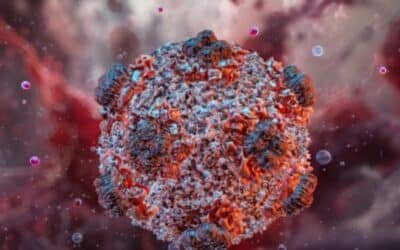 WHO Chief to Assist in Hantavirus Evacuation Efforts in Tenerife