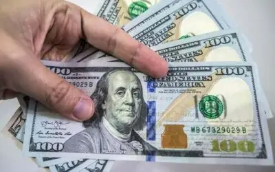  Easing Import Restrictions Narrow Pakistan Current Account Surplus to $255 Million in May 2026