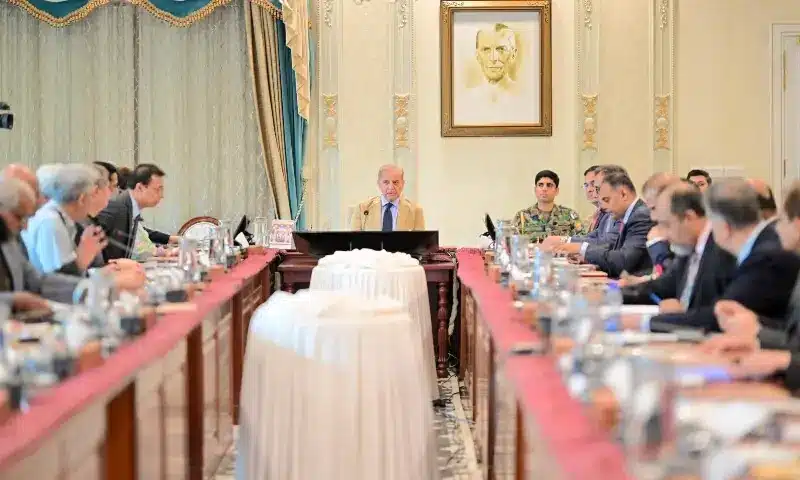 PM Orders Audit of DISCO Billing Systems to Drive Power Sector Overhaul PM Orders Audit of DISCO Billing Systems to Drive Power Sector Overhaul